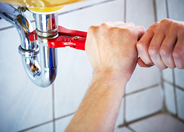 About Bellwood Plumbers